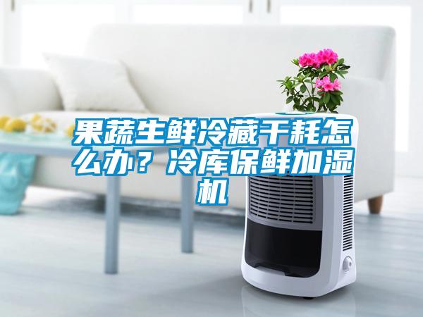 果蔬生鮮冷藏干耗怎么辦？冷庫(kù)保鮮加濕機(jī)