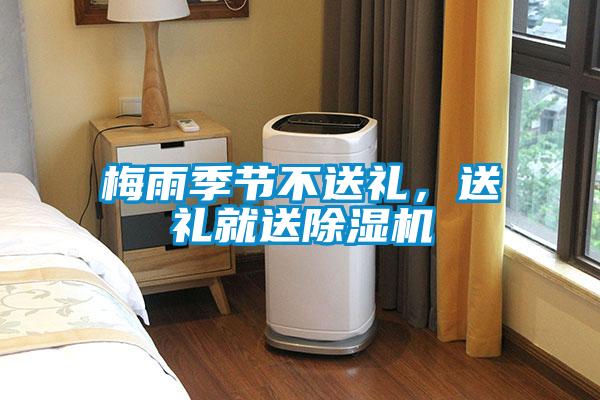 梅雨季節不送禮，送禮就送除濕機
