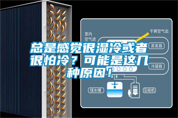 總是感覺(jué)很濕冷或者很怕冷？可能是這幾種原因！