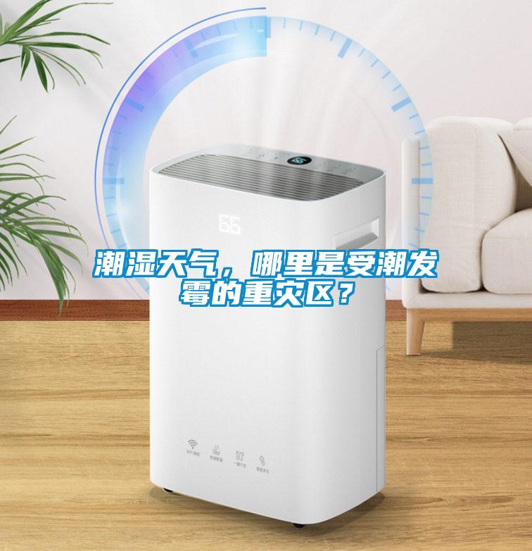 潮濕天氣，哪里是受潮發(fā)霉的重災(zāi)區(qū)？