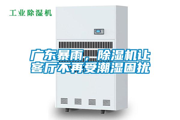廣東暴雨，除濕機讓客廳不再受潮濕困擾