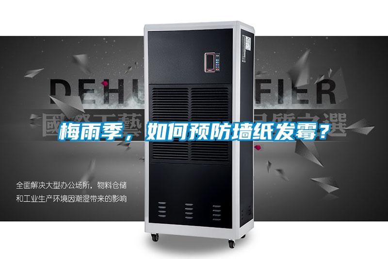 梅雨季，如何預防墻紙發霉？