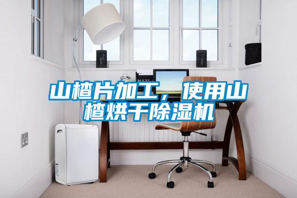 山楂片加工，使用山楂烘干除濕機