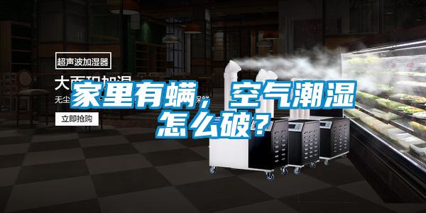 家里有螨，空氣潮濕怎么破？