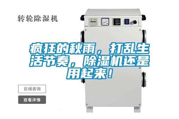 瘋狂的秋雨，打亂生活節(jié)奏，除濕機還是用起來！