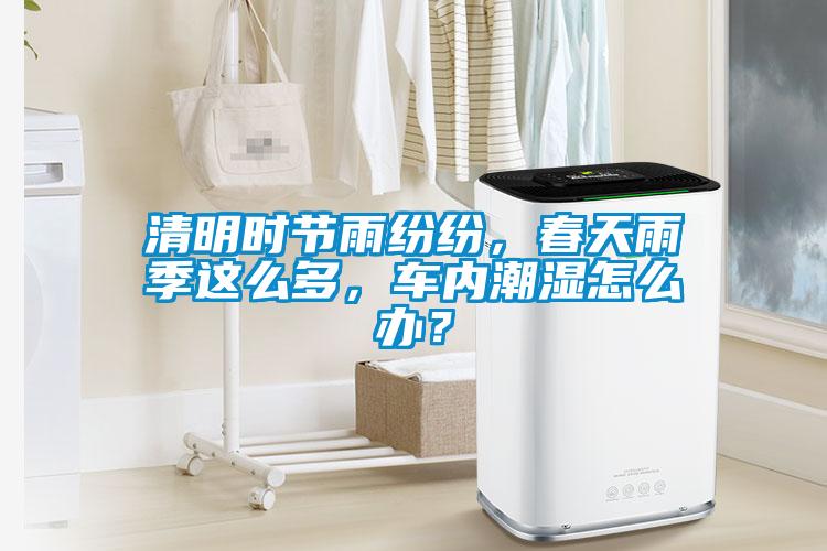 清明時(shí)節(jié)雨紛紛，春天雨季這么多，車內(nèi)潮濕怎么辦？