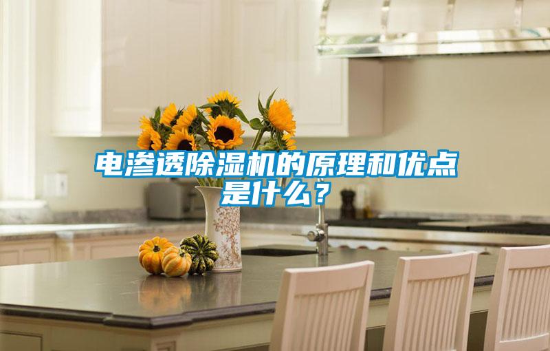 電滲透除濕機的原理和優(yōu)點是什么？