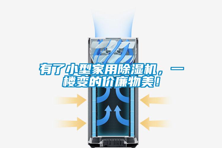 有了小型家用除濕機(jī)，一樓變的價(jià)廉物美！
