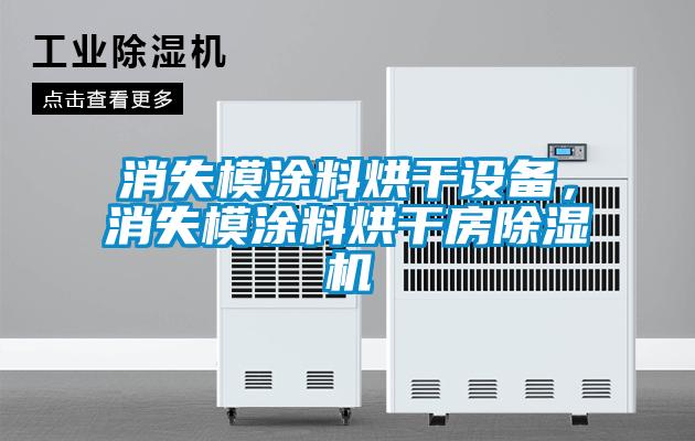 消失模涂料烘干設備，消失模涂料烘干房除濕機