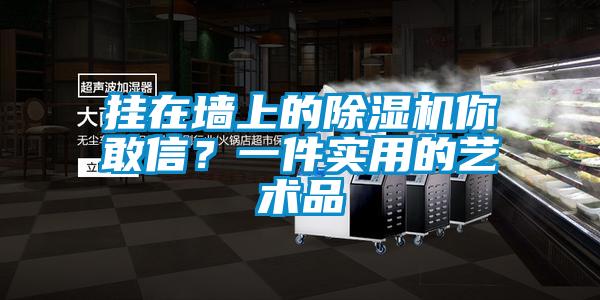 掛在墻上的除濕機(jī)你敢信？一件實用的藝術(shù)品