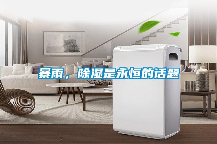 暴雨，除濕是永恒的話題