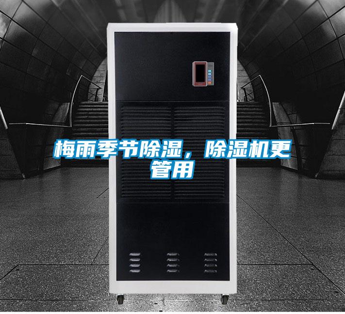 梅雨季節除濕，除濕機更管用