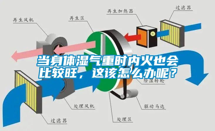 當(dāng)身體濕氣重時(shí)內(nèi)火也會(huì)比較旺，這該怎么辦呢？