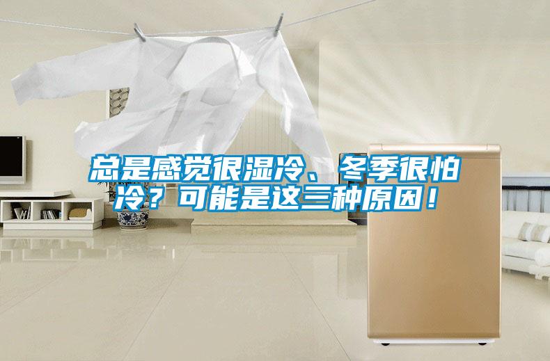 總是感覺(jué)很濕冷、冬季很怕冷？可能是這三種原因！