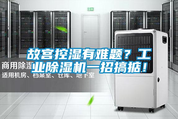 故宮控濕有難題？工業(yè)除濕機(jī)一招搞掂！