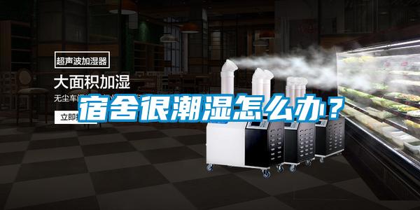 宿舍很潮濕怎么辦？