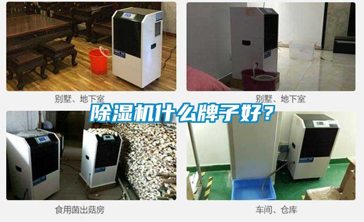 除濕機(jī)什么牌子好？