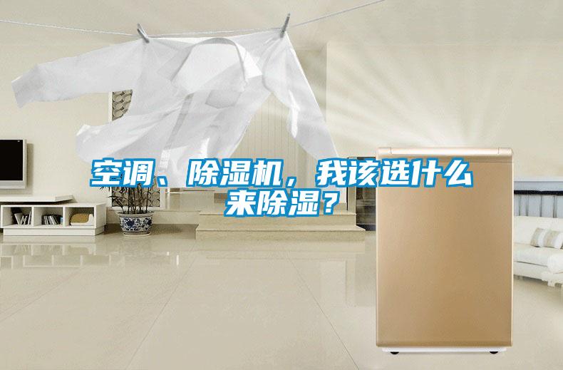 空調(diào)、除濕機(jī)，我該選什么來除濕？