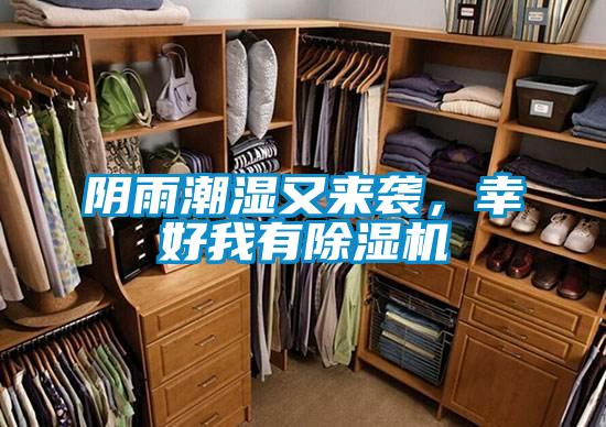 陰雨潮濕又來(lái)襲,幸好我有除濕機(jī)