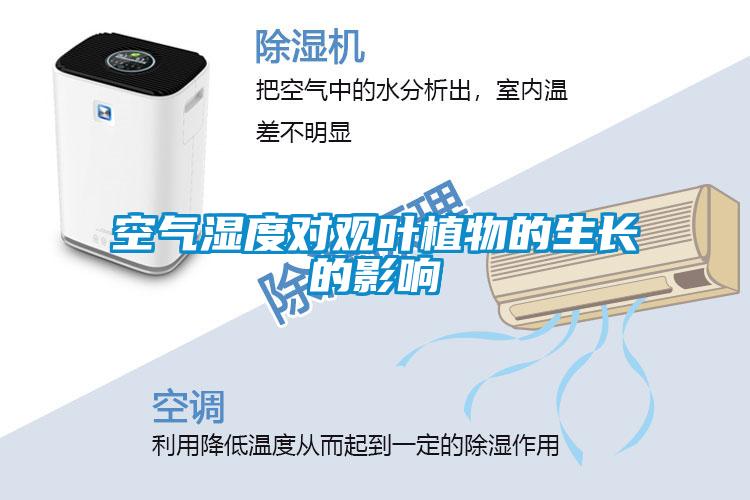 空氣濕度對(duì)觀葉植物的生長的影響
