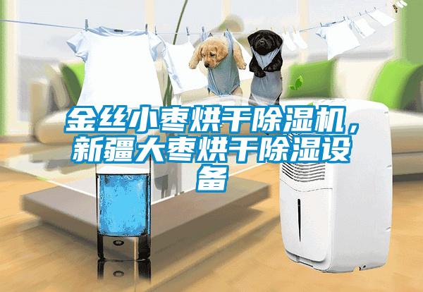金絲小棗烘干除濕機，新疆大棗烘干除濕設(shè)備