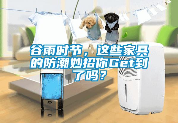 谷雨時節，這些家具的防潮妙招你Get到了嗎？