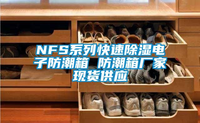NFS系列快速除濕電子防潮箱 防潮箱廠家現(xiàn)貨供應