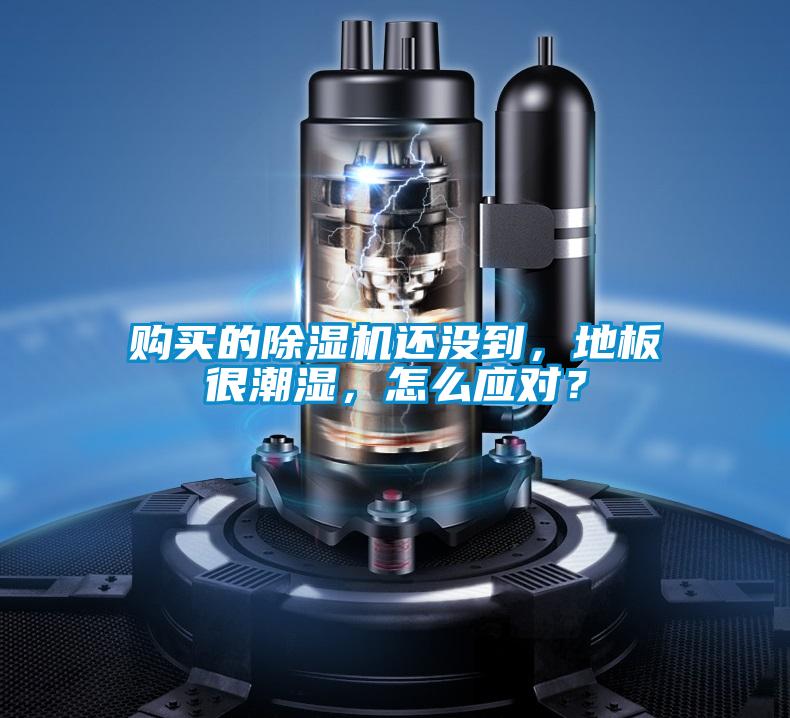 購買的除濕機還沒到，地板很潮濕，怎么應對？