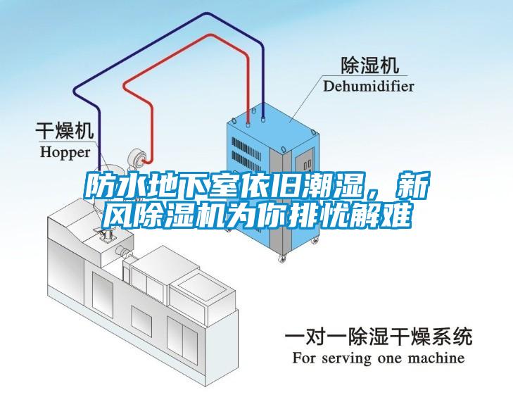 防水地下室依舊潮濕，新風(fēng)除濕機(jī)為你排憂解難