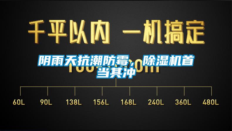 陰雨天抗潮防霉,除濕機(jī)首當(dāng)其沖