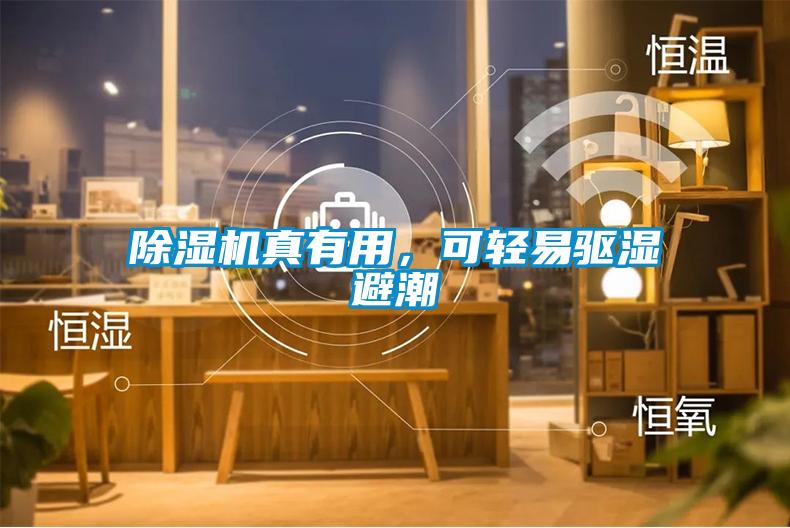 除濕機真有用，可輕易驅濕避潮