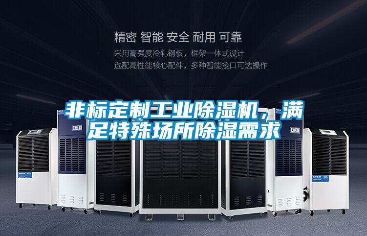 非標定制工業(yè)除濕機，滿足特殊場所除濕需求