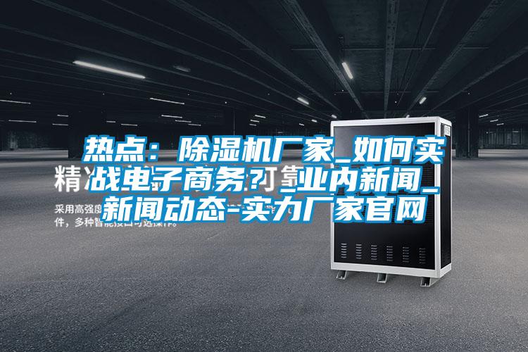 熱點：除濕機廠家_如何實戰(zhàn)電子商務(wù)？_業(yè)內(nèi)新聞_新聞動態(tài)-實力廠家官網(wǎng)