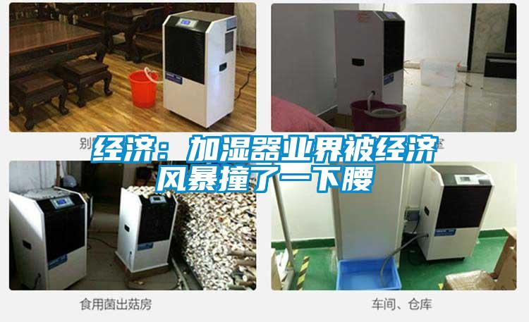 經(jīng)濟：加濕器業(yè)界被經(jīng)濟風(fēng)暴撞了一下腰