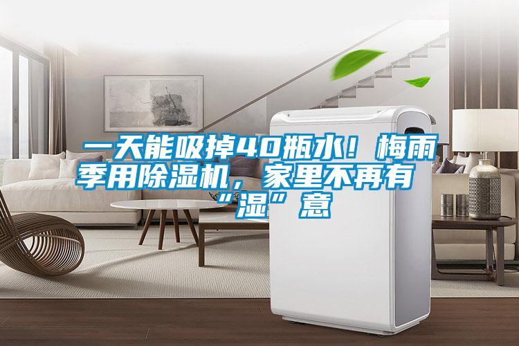 一天能吸掉40瓶水！梅雨季用除濕機，家里不再有“濕”意