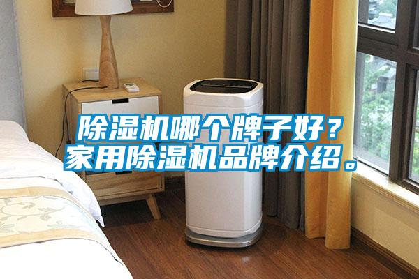 除濕機哪個牌子好？家用除濕機品牌介紹。