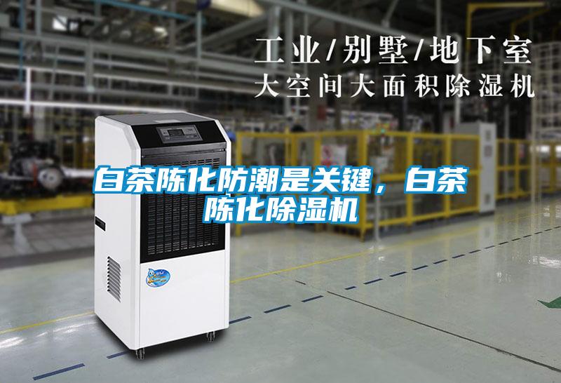 白茶陳化防潮是關(guān)鍵，白茶陳化除濕機(jī)