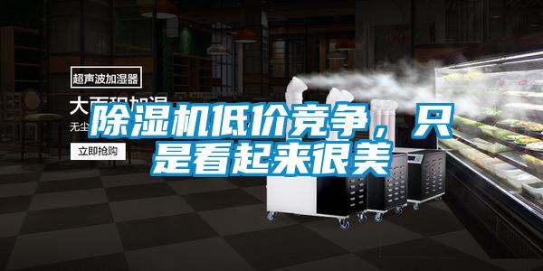 除濕機低價競爭，只是看起來很美