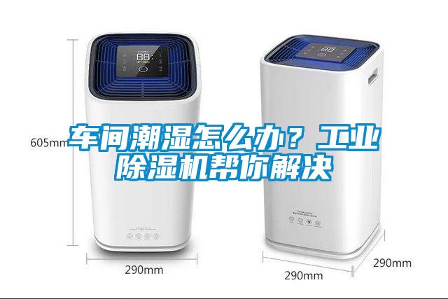 車間潮濕怎么辦？工業除濕機幫你解決