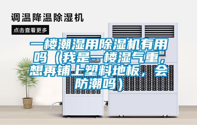 一樓潮濕用除濕機有用嗎（我是一樓濕氣重，想再鋪上塑料地板，會防潮嗎）