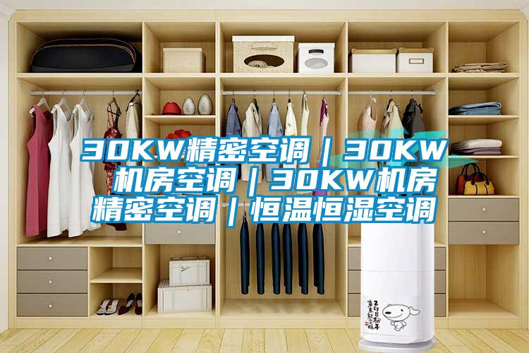 30KW精密空調(diào)｜30KW 機(jī)房空調(diào)｜30KW機(jī)房精密空調(diào)｜恒溫恒濕空調(diào)