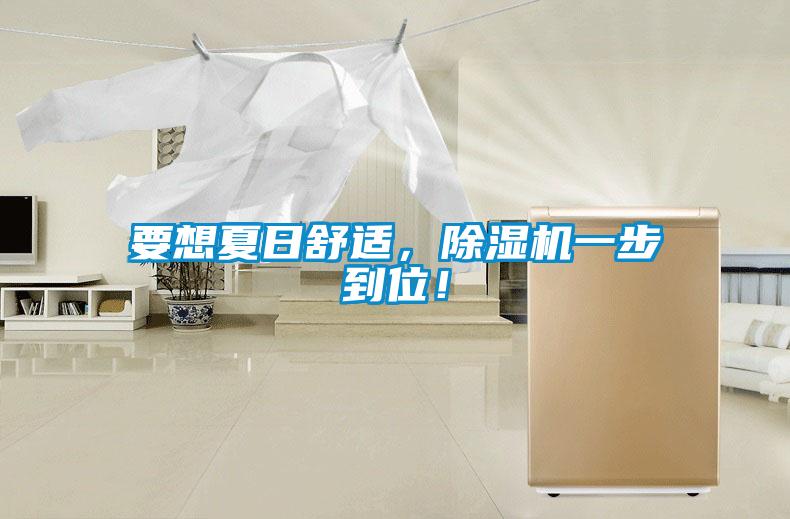 要想夏日舒適，除濕機一步到位！
