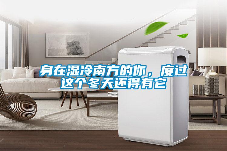 身在濕冷南方的你，度過這個(gè)冬天還得有它