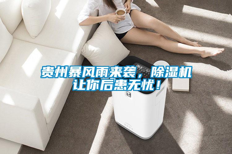 貴州暴風(fēng)雨來(lái)襲，除濕機(jī)讓你后患無(wú)憂！