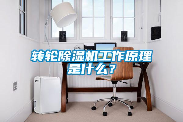 轉(zhuǎn)輪除濕機(jī)工作原理是什么？