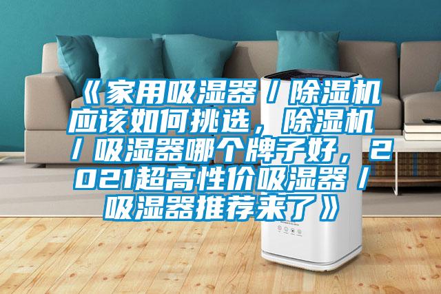 《家用吸濕器／除濕機(jī)應(yīng)該如何挑選，除濕機(jī)／吸濕器哪個牌子好，2021超高性價吸濕器／吸濕器推薦來了》