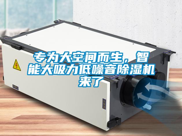 專為大空間而生，智能大吸力低噪音除濕機來了