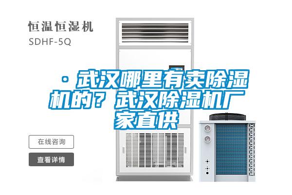 ·武漢哪里有賣(mài)除濕機(jī)的？武漢除濕機(jī)廠家直供