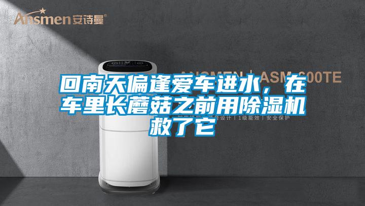 回南天偏逢愛(ài)車(chē)進(jìn)水，在車(chē)?yán)镩L(zhǎng)蘑菇之前用除濕機(jī)救了它