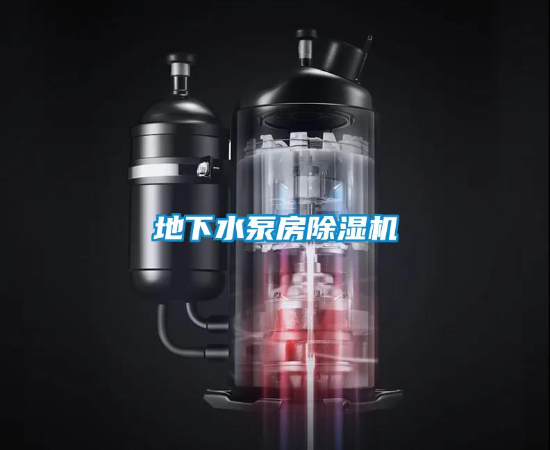地下水泵房除濕機(jī)